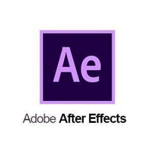 Buy Adobe Software License Online from Adobe Partner India - Wroffy